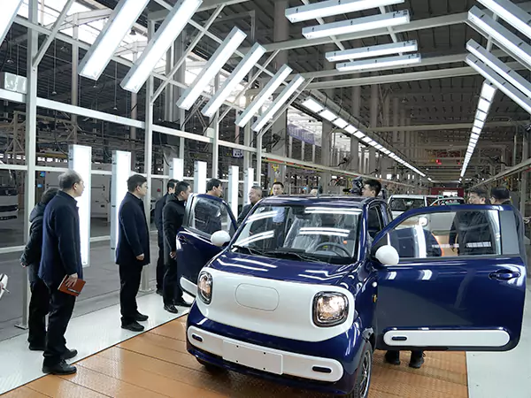 The leader came to inspect our factory