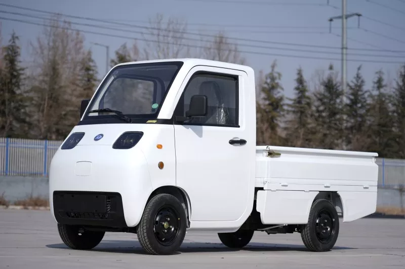 Mini Electric Vehicle Transport Van 4 Wheels Two Wing Doors